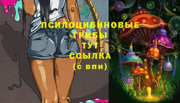 мдма Няндома