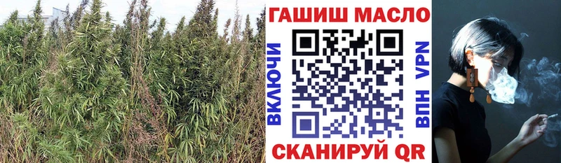 хочу   Новая Ляля  ТГК Wax 