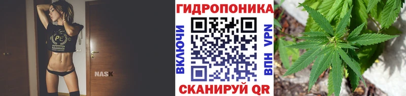 мориарти состав  Новая Ляля  МАРИХУАНА Bruce Banner  blacksprut tor 